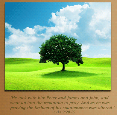 He took with Him Peter and James and John, and went up into the mountain to pray. And as he was praying the fashion of his countenance was altered. Luke 9:28-29