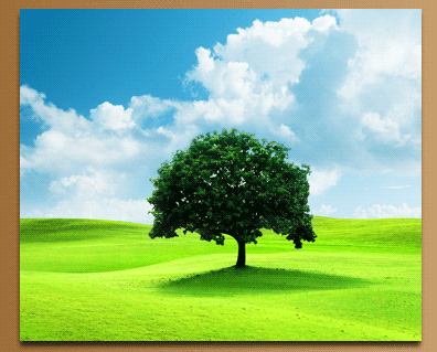 photo-1b.gif